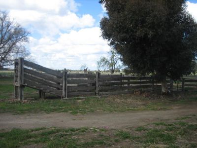 Teal Point