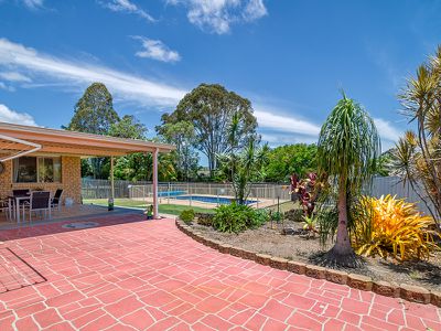 42 Ibis Boulevard, Eli Waters