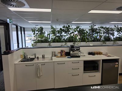 8 Alumina Street, Beard