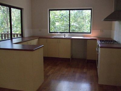 9 Rainforest, Cooktown