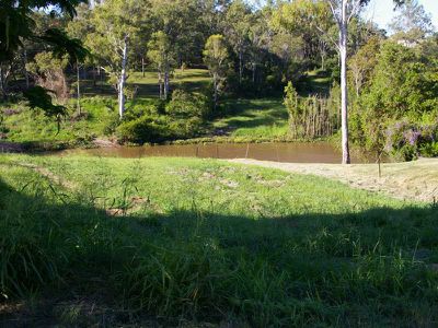 Basin Pocket
