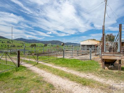 275 Soldier Settlers Road, Tallangatta Valley