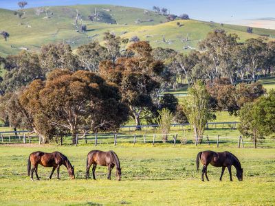 552 Upton Rd, Avenel