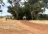 1643 North Bannister-Wandering Road, Wandering