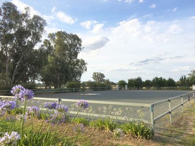 167 Tynan Road, Table Top