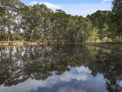 396 Black Forest Drive, Macedon