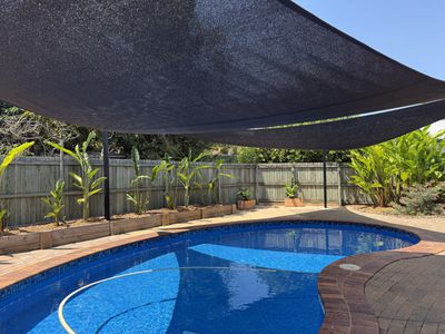 14 Austin Court, Point Vernon