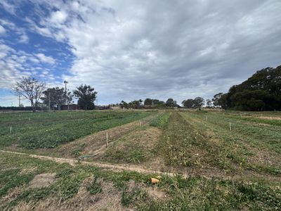 203 Heath Road, Leppington