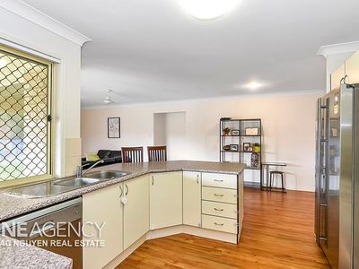 19 Colville Ct, Springfield