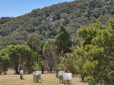 29 Quong Tart Close, Araluen