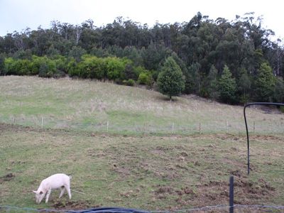 763 Woodbridge Hill Road, Gardners Bay