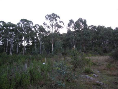 Evans Road, Port Huon
