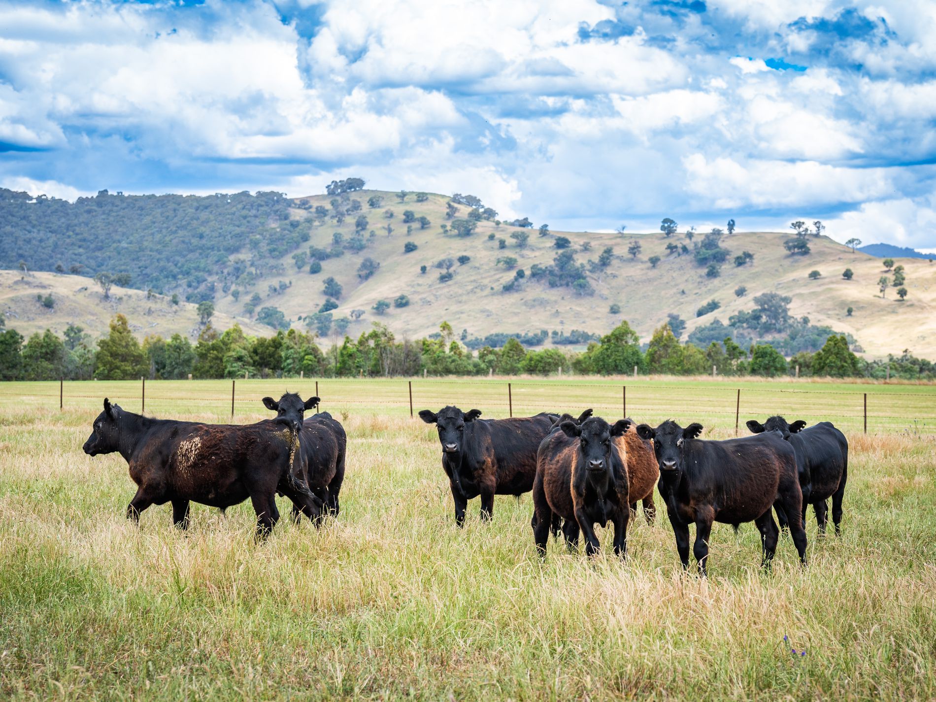4118 Murray River Road, Thologolong