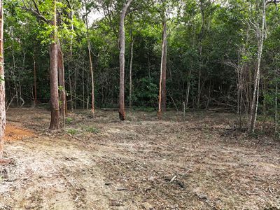 506 Cameron Creek Road, Cooktown