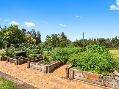14 Trackside Drive, Kanahooka