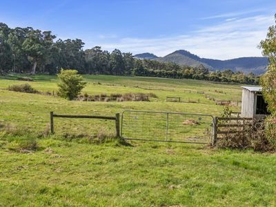 5703 Huon Highway, Surges Bay