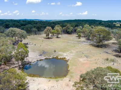 Lot 7, - Emmaville Rd, Emmaville