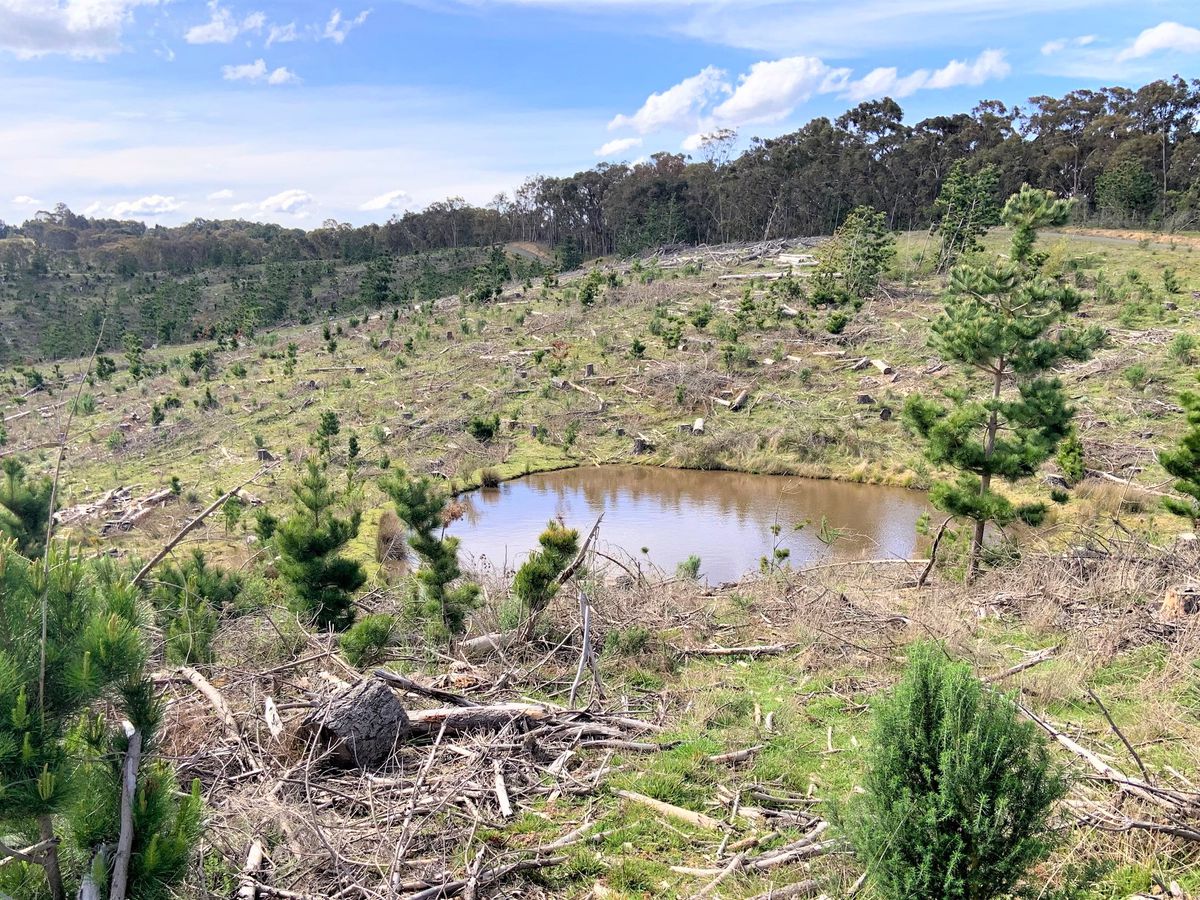 Lot 3, Maintongoon Road, Bonnie Doon