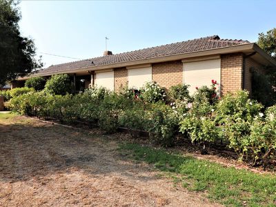 20 Abdallah Rd, Seymour