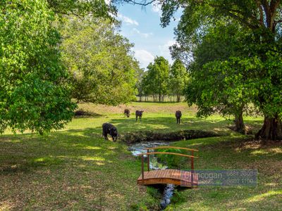 2046 Coolamon Scenic Drive, Mullumbimby