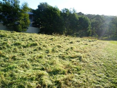 14 Everett Court, Mollymook