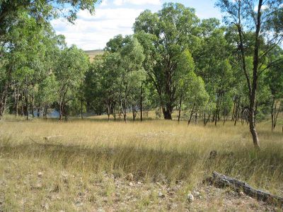 Pindari Dam Road, Ashford