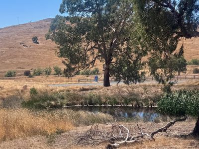 84 Owens Creek Drive, Mansfield