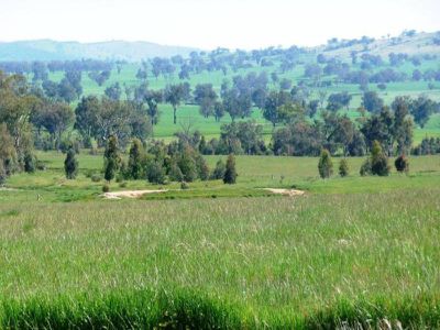Mountain Creek Road, Holbrook
