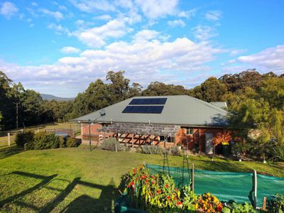 476 Bugong Firetrail, Kangaroo Valley