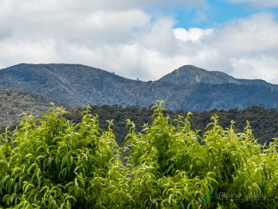 31 Valley Avenue, Mount Beauty
