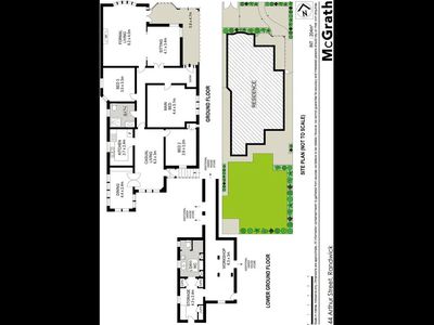 44 Arthur Street, Randwick