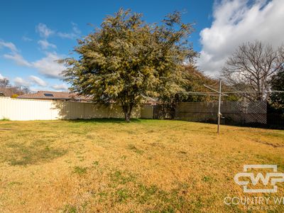 31 Cross Street, Glen Innes