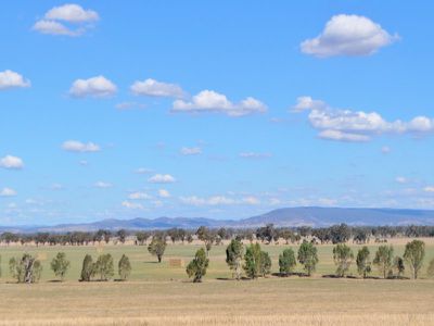 Henty-Walla Road, Culcairn