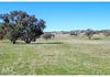 776 Boree Lane, Orange