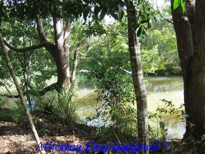 Yungaburra