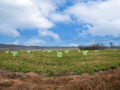 Lot Plain View Aggregation, 916 Emmaville Road, Glen Innes