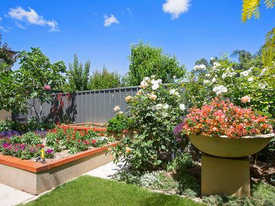 25A Lindsay Avenue, Edwardstown