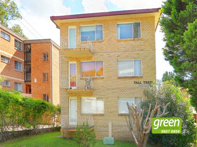 8 / 14 Meadow Crescent, Meadowbank