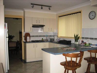 Mount Warrigal
