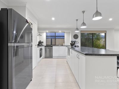 6 Ray Gardiner Vista, Tapping