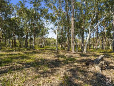 90 Minnesota Road, Hamlyn Terrace
