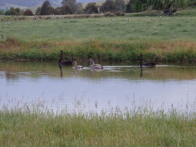275 Soldier Settlers Road, Tallangatta Valley