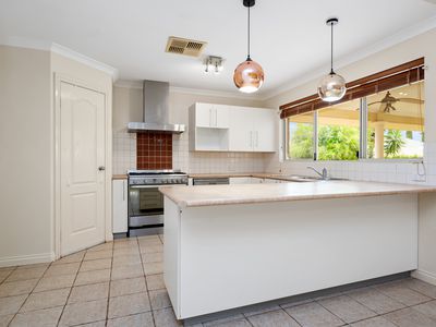 11 Smythe Drive, Broadwood