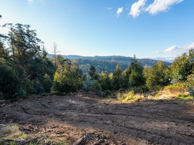 Lot 8 Paddys Lane, Franklin