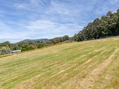 44 McDowall Street, Middleton