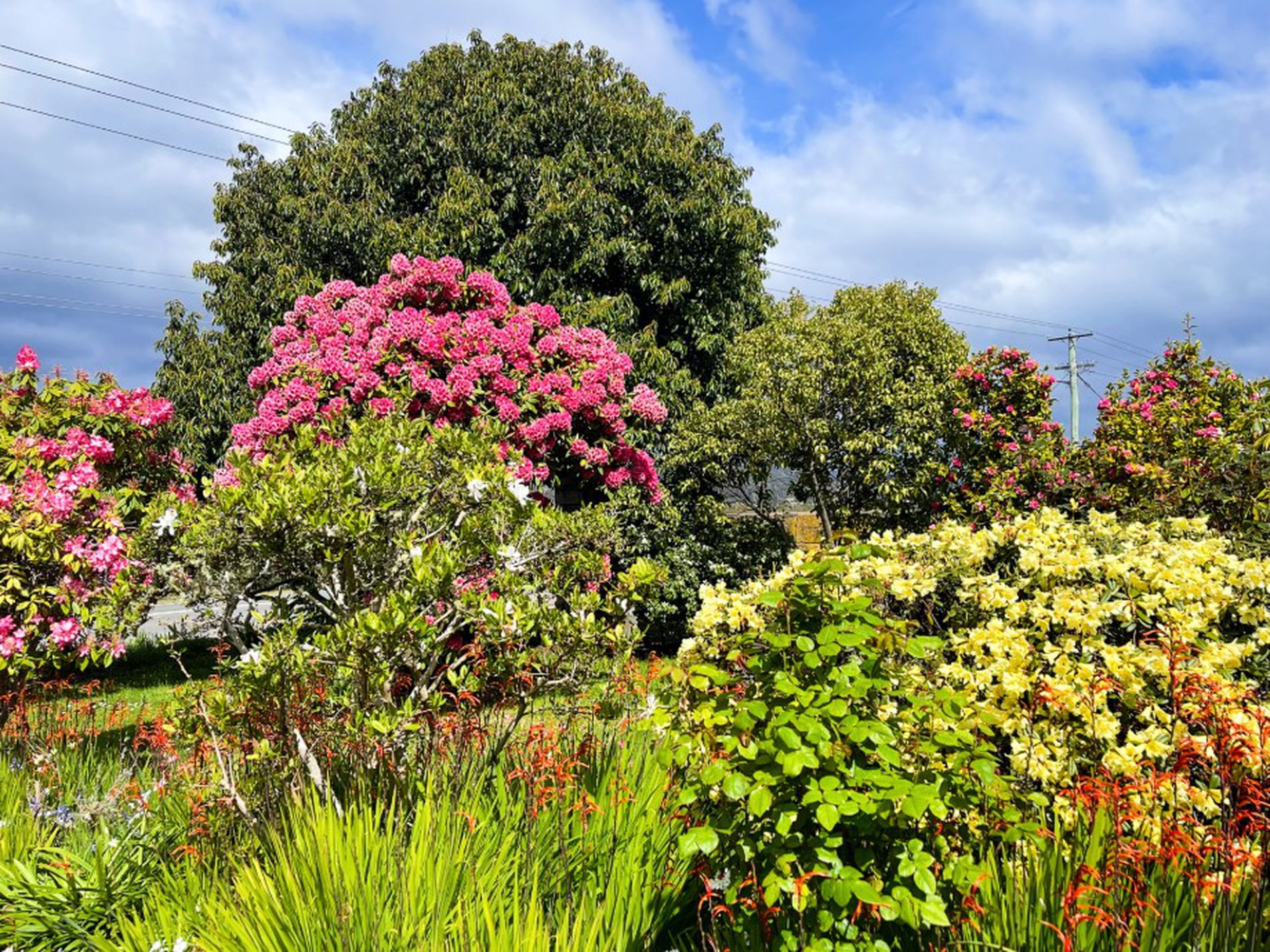 3448 Huon Highway, Franklin