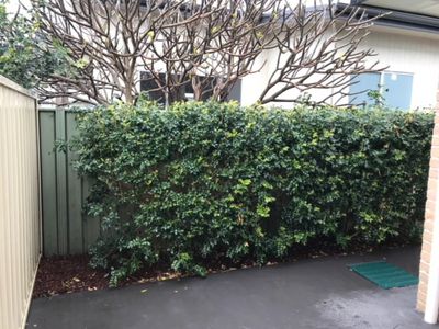 2 / 85A Waratah Street, Windang