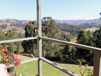 166 Bunyah Road, Nabiac