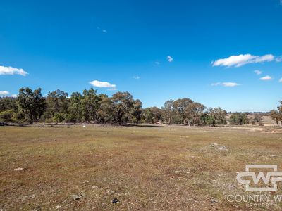 Lot 10 & 12, - Gulf Road, Emmaville