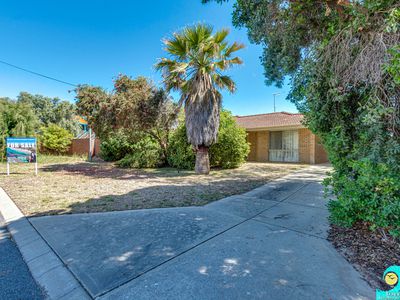 7 Hornpipe Court, Yanchep